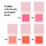 Private Label 5 Colors Individually Packaged Blush - privatelabelcos